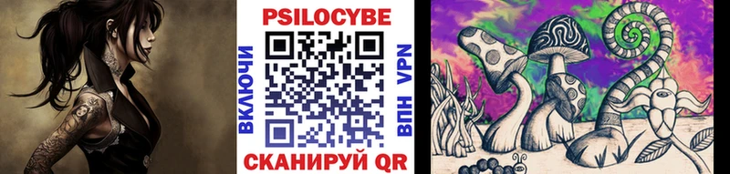 Купить  Муравленко  Псилоцибиновые грибы мицелий 